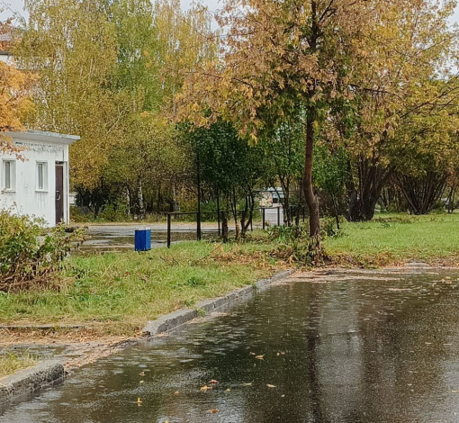 Что такое осень - это небо. Плачущее недо под ногами...